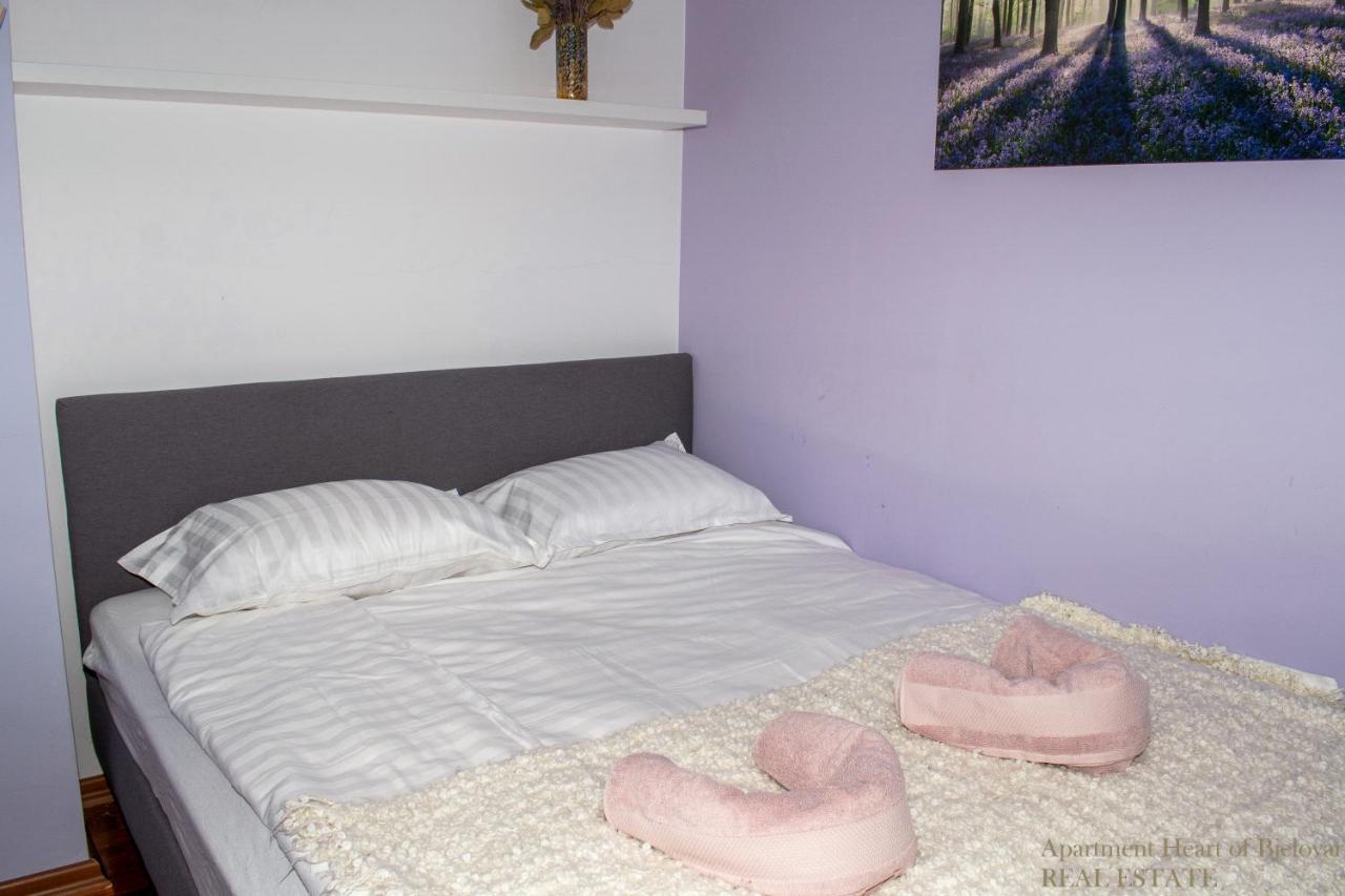 Apartment Heart Of Bjelovar Dış mekan fotoğraf
